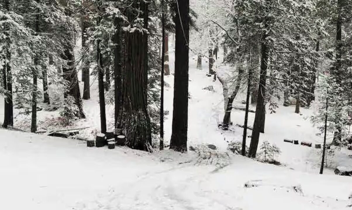 Photo of Others in Alta Sierra