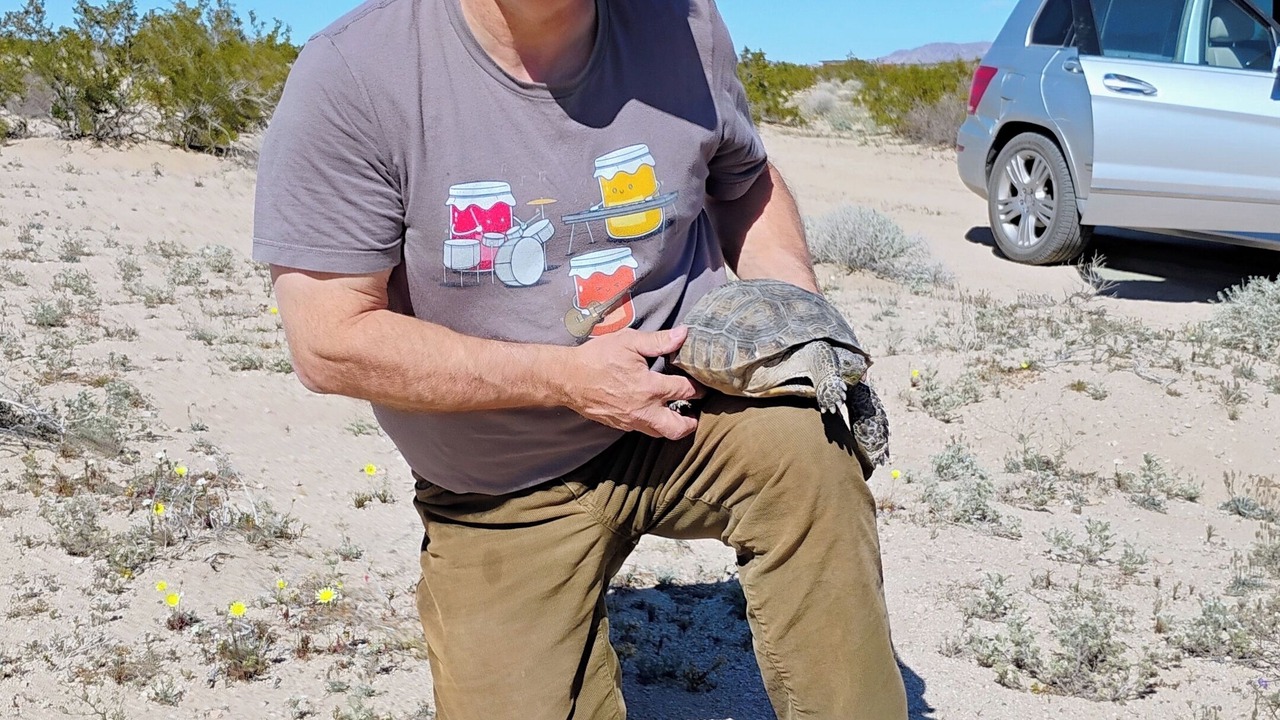 Photo of Others in Joshua Tree