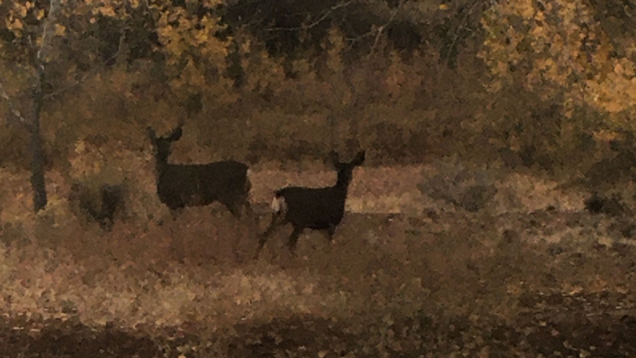 Photo of Others in New Harmony