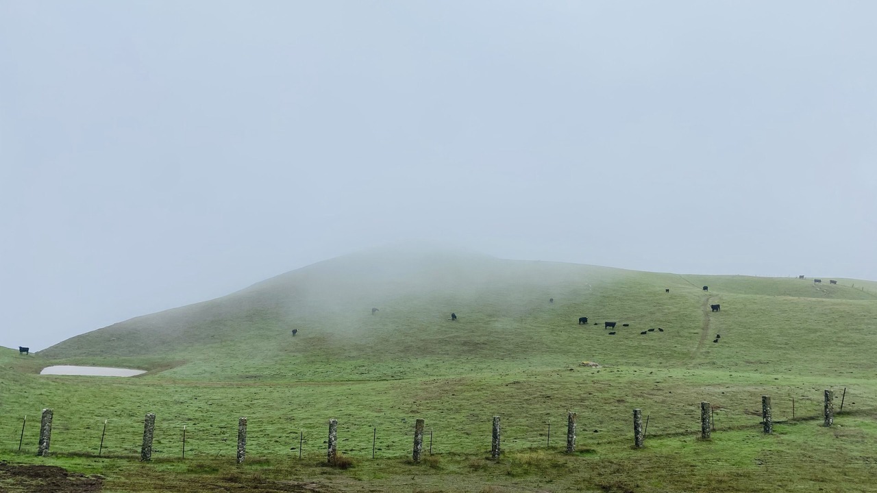Photo of Others in Danville