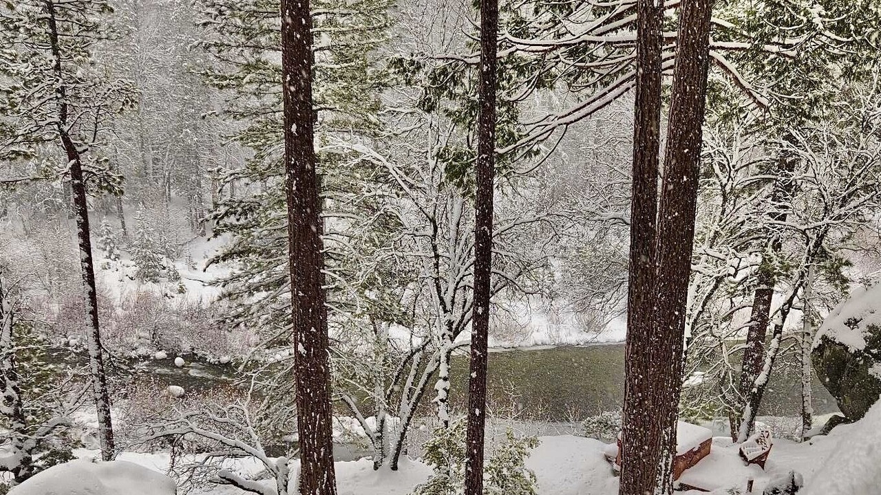 Photo of Others in North Wawona