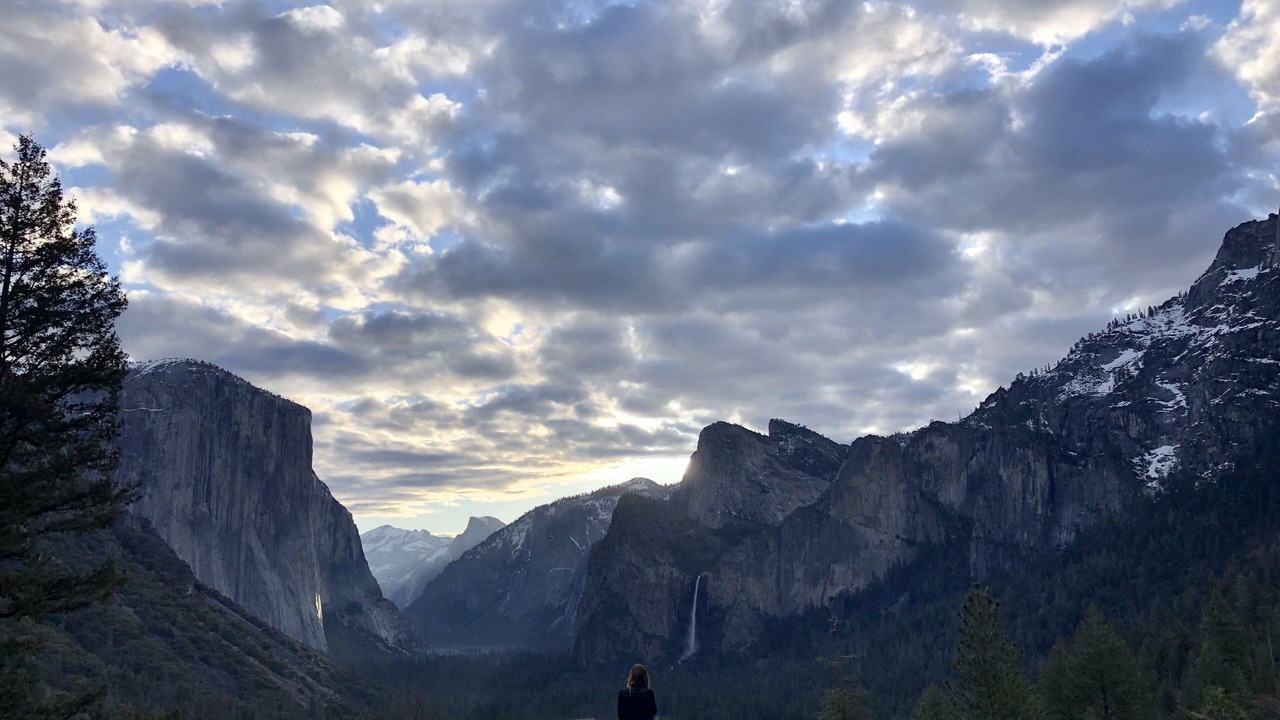 Photo of Others in North Wawona