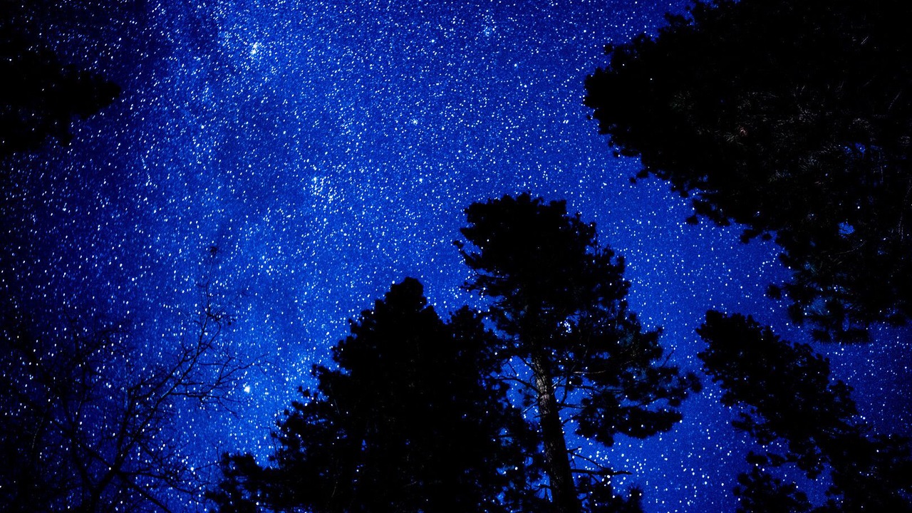 Photo of Others in North Wawona