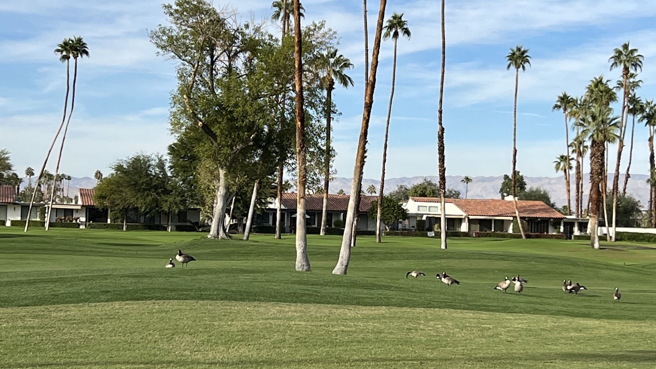 Photo of Others in Rancho Mirage