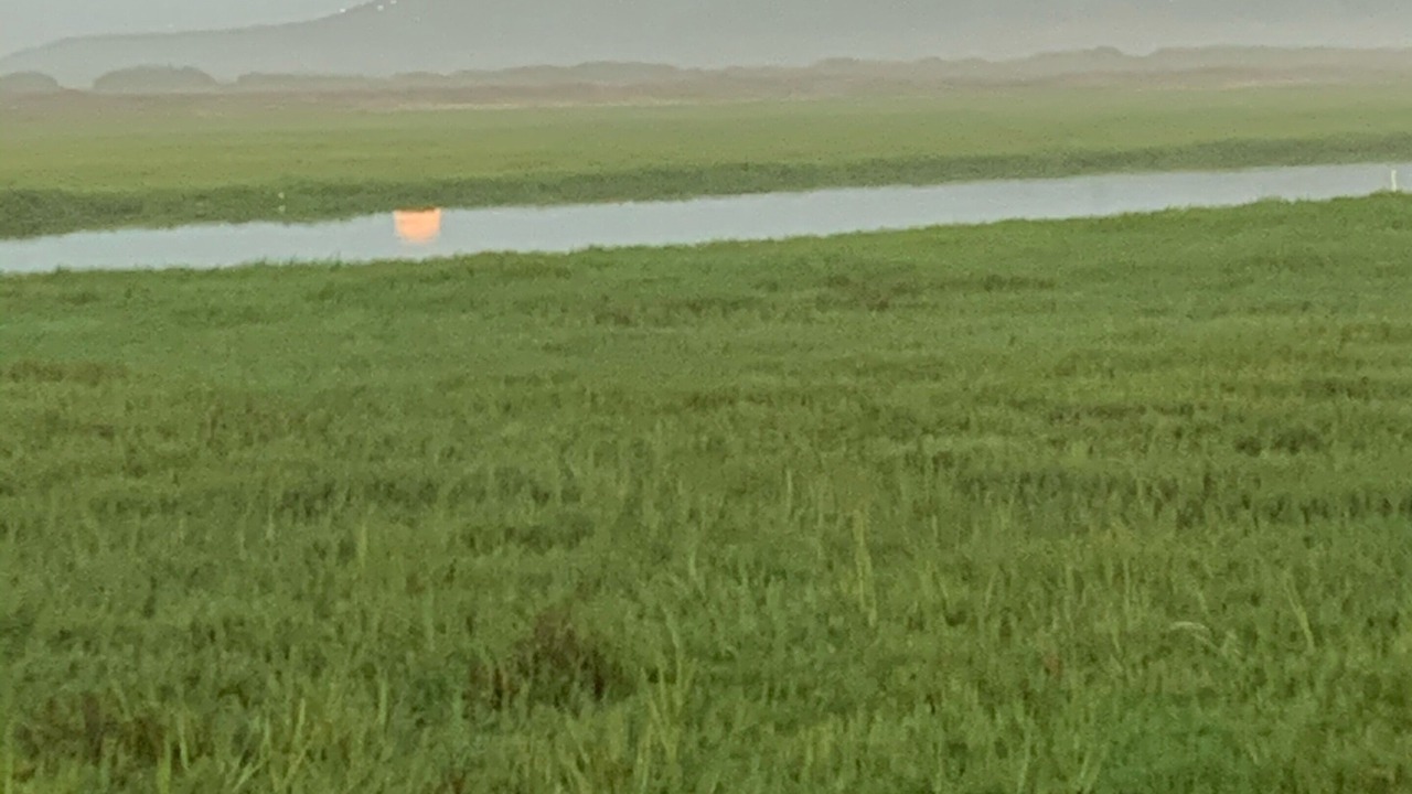 Photo of Others in Imperial Beach