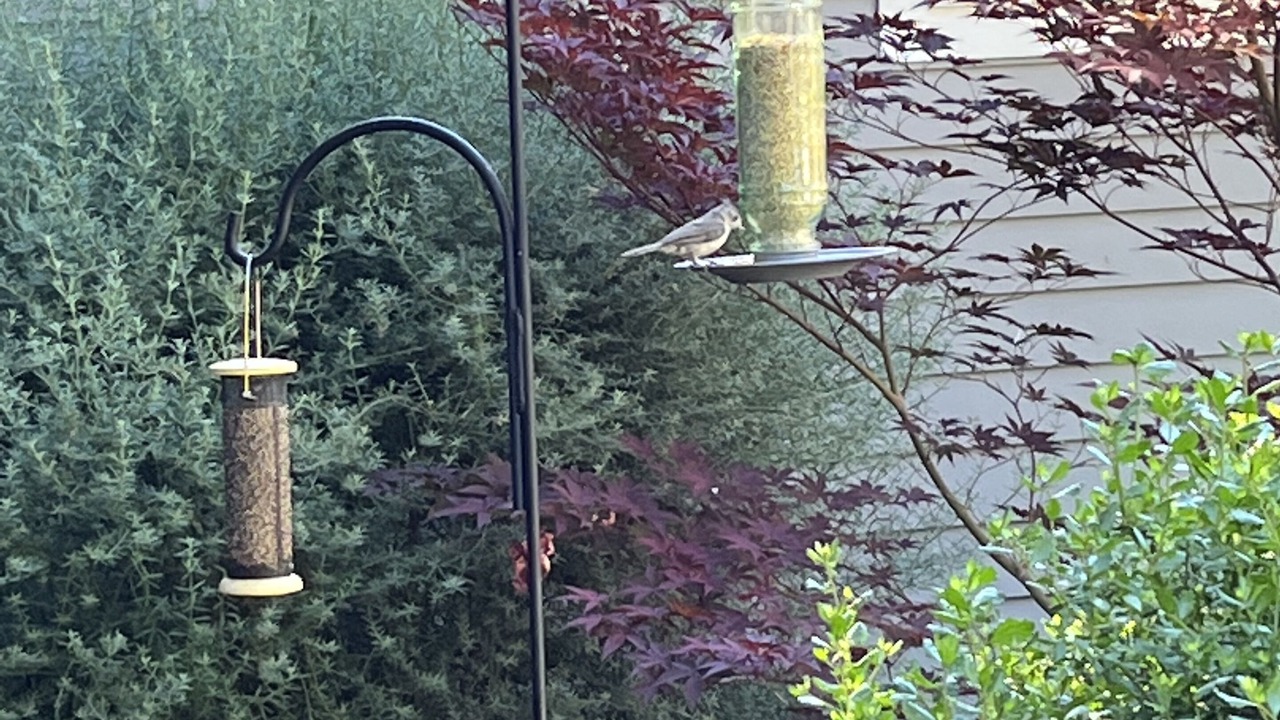 Photo of Outdoor in Lafayette