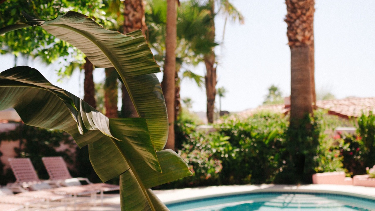 Photo of Outdoor in Tahquitz River Estates