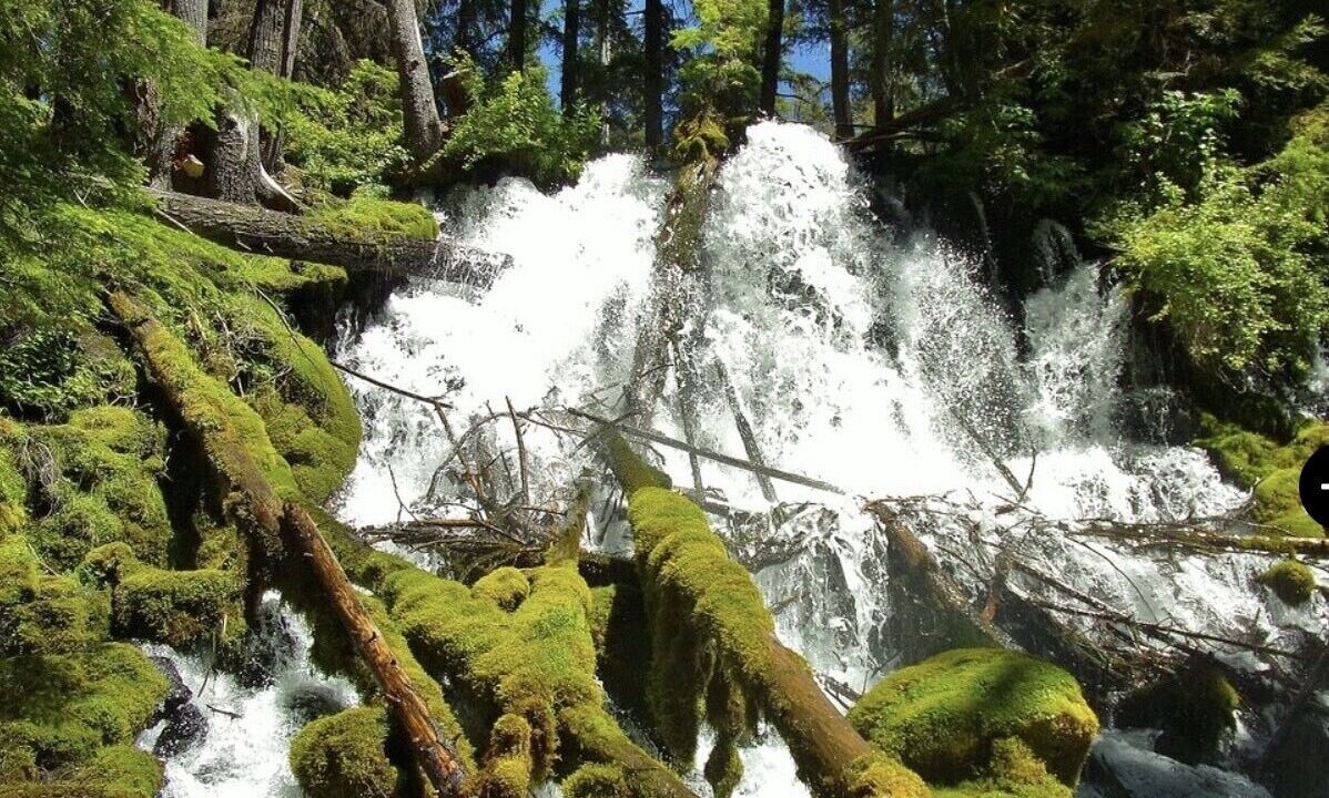 Photo of Outdoor in Roseburg