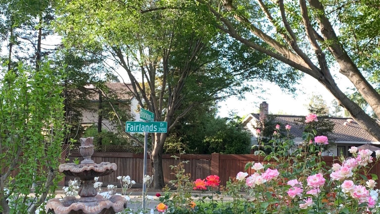 Photo of Outdoor in Pleasanton