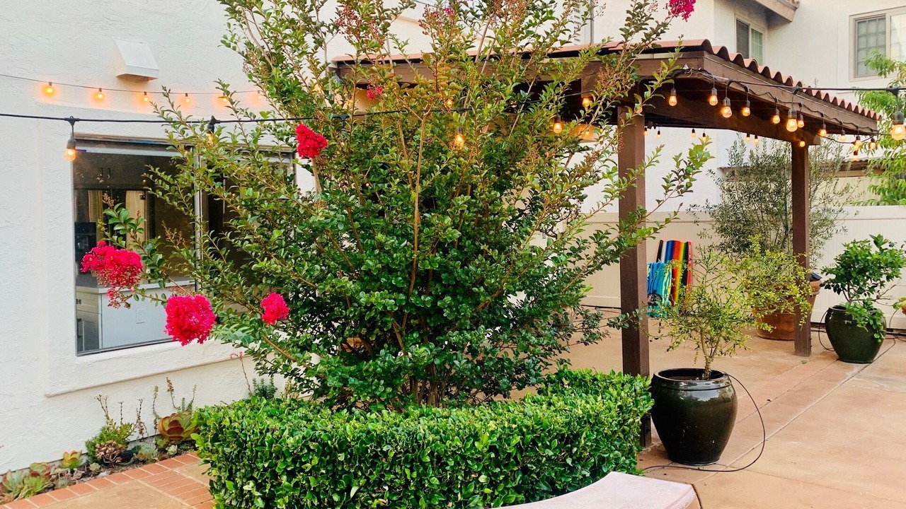 Photo of Patio Balcony in Mira Mesa