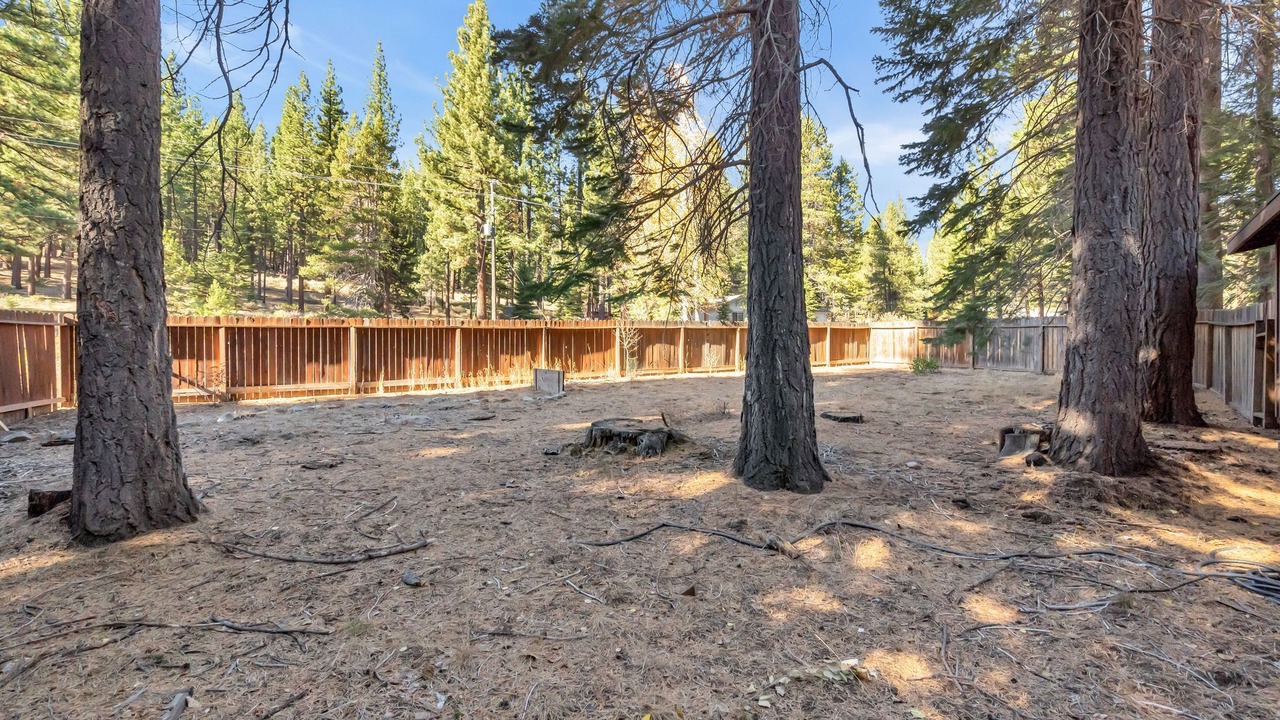 Photo of Outdoor in Tahoe Paradise