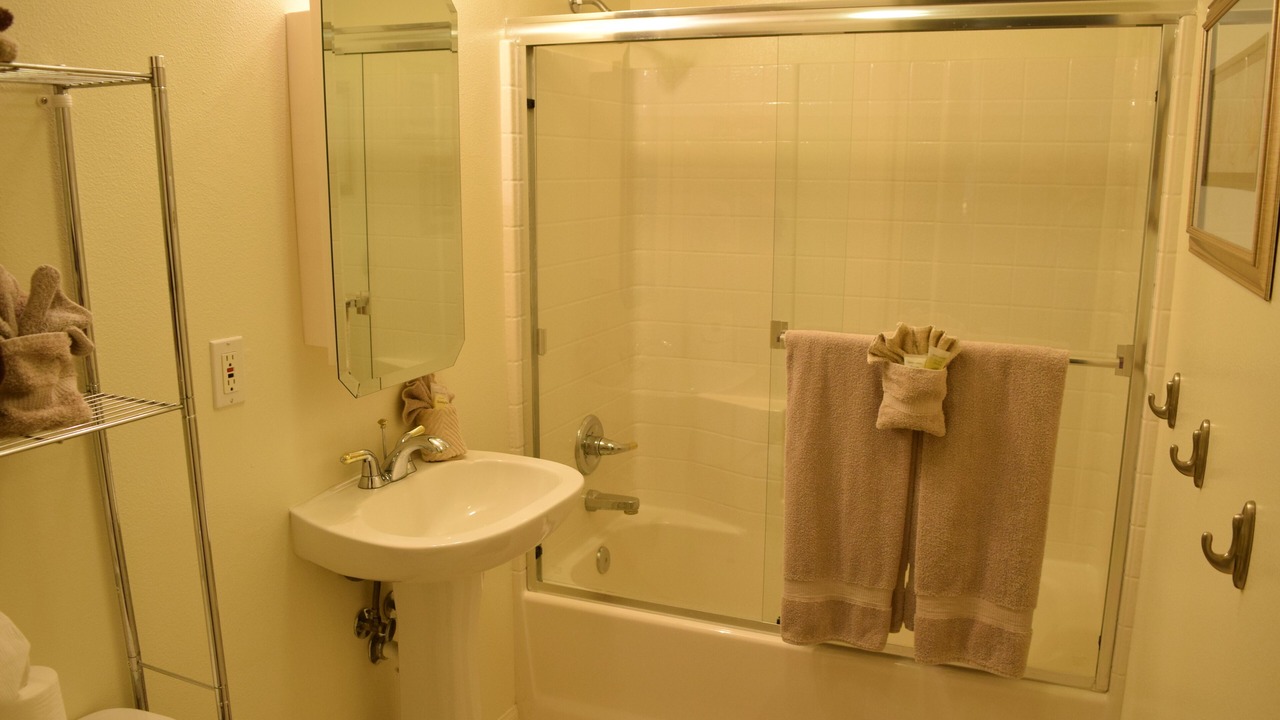 Photo of Bathroom in Downtown