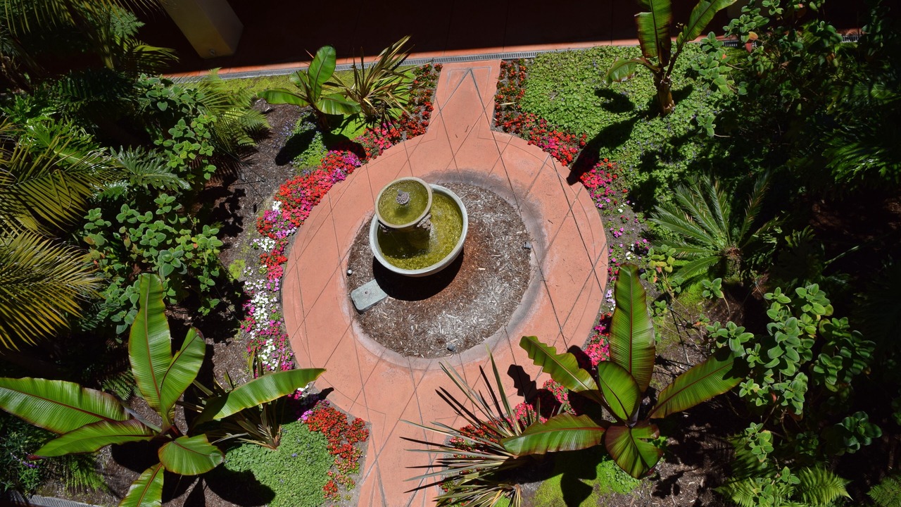 Photo of Outdoor in Downtown