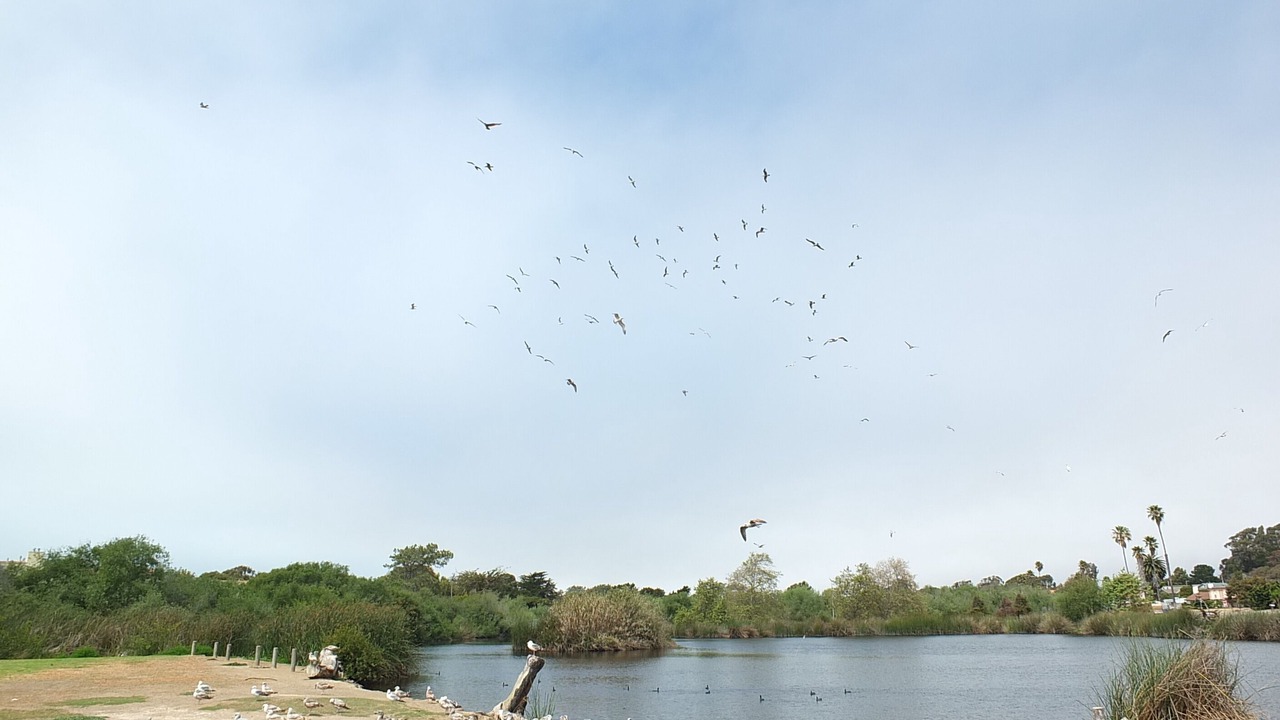 Photo of Others in Oceano