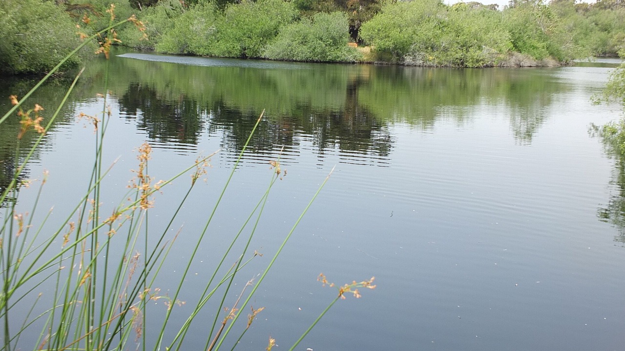 Photo of Outdoor in Oceano