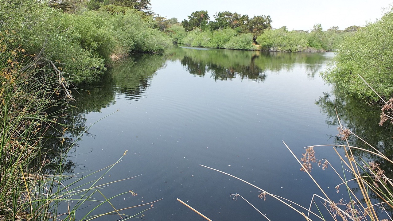 Photo of Outdoor in Oceano