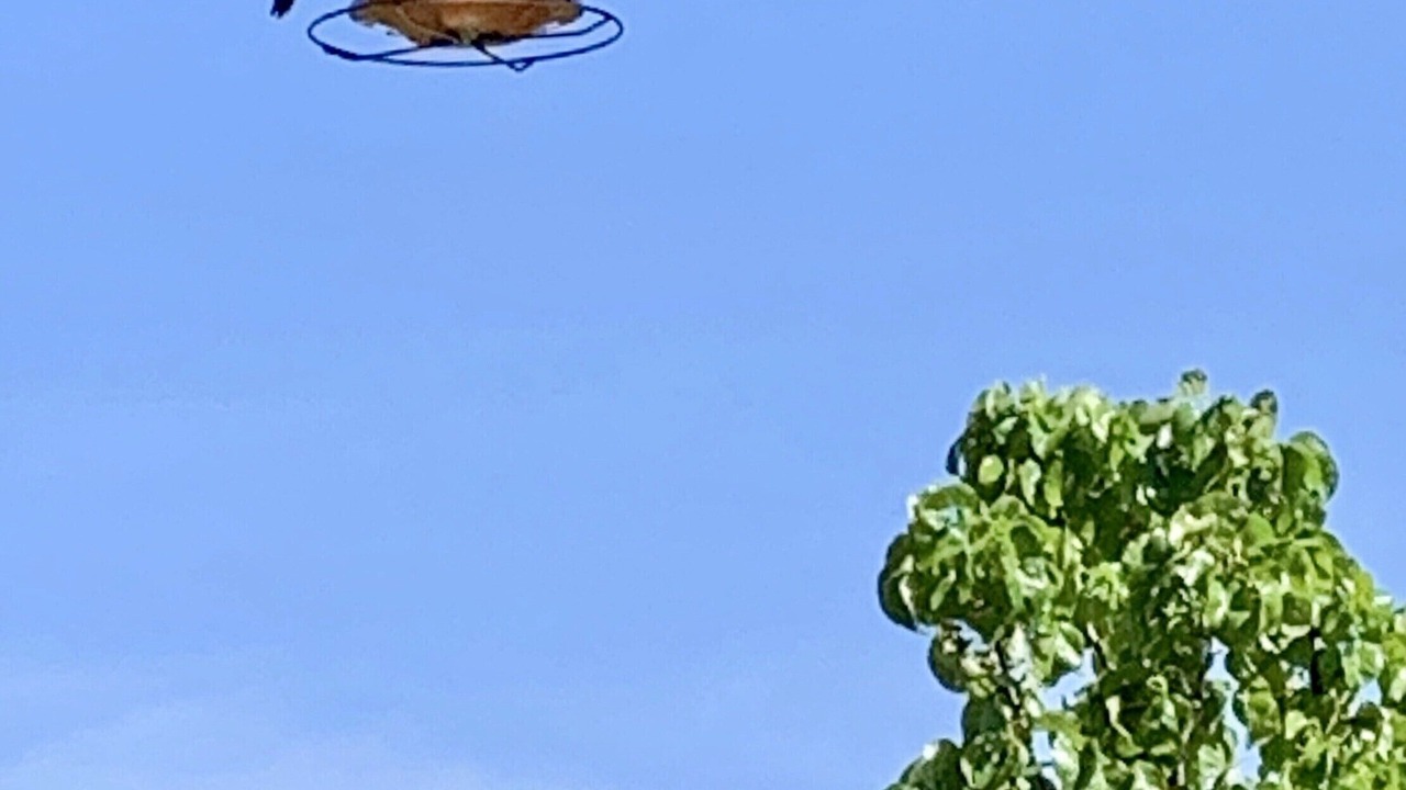 Photo of Others in St. George