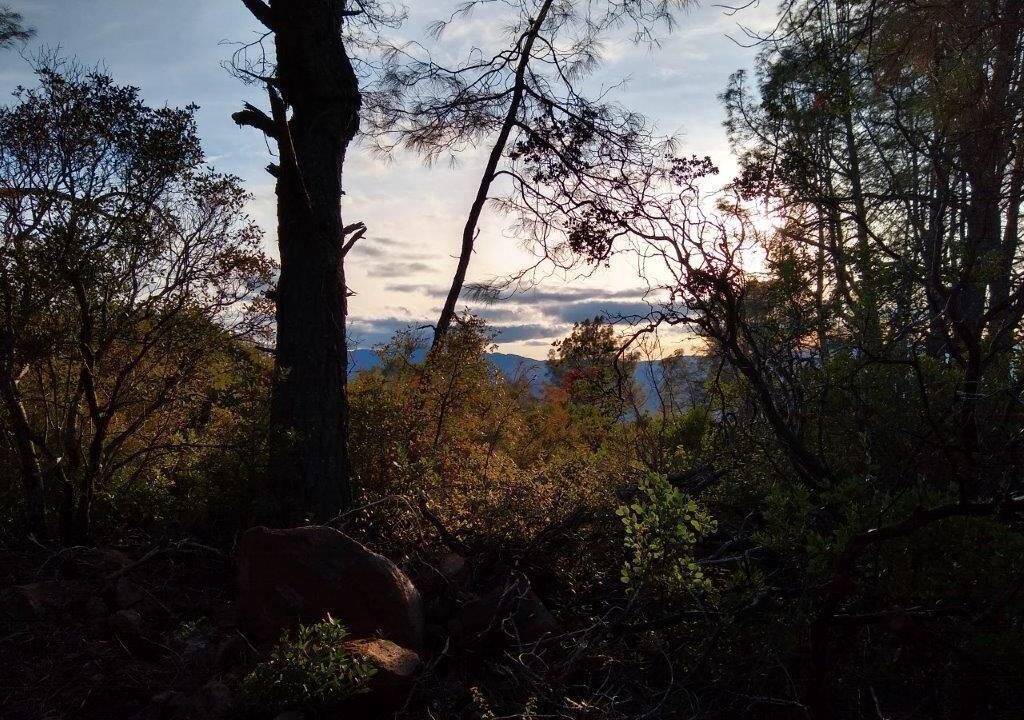 Photo of Outdoor in Lower Lake