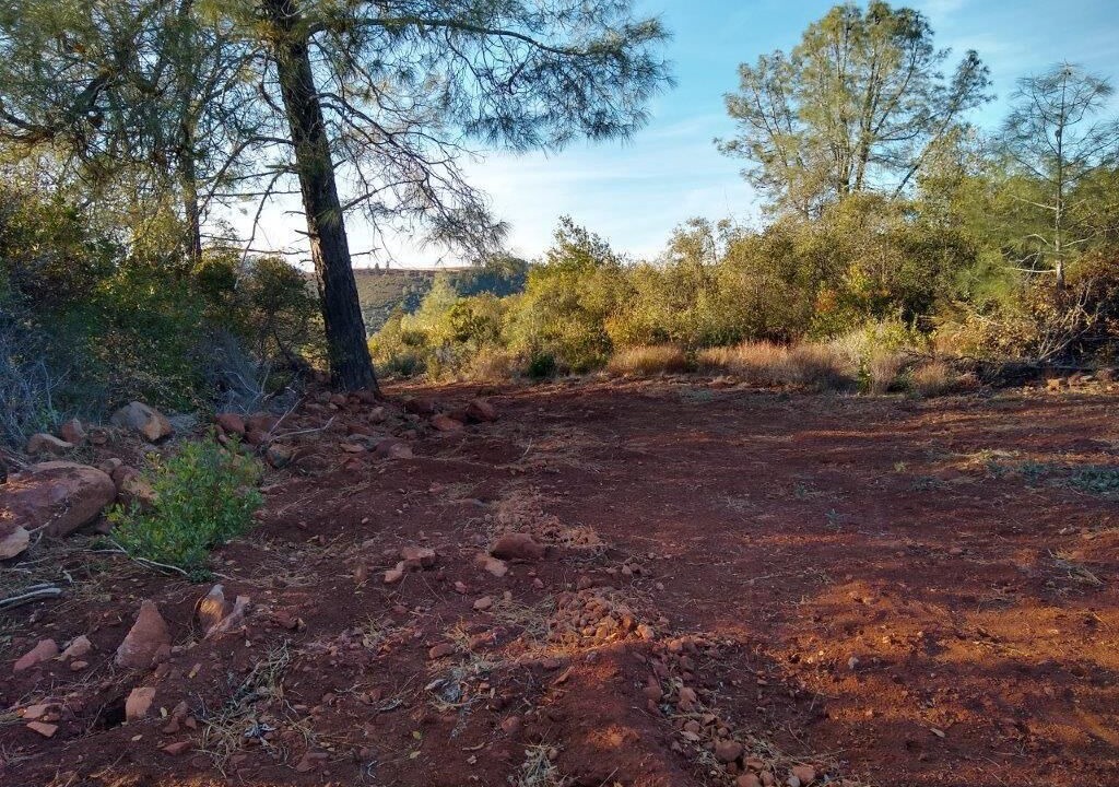 Photo of Outdoor in Lower Lake