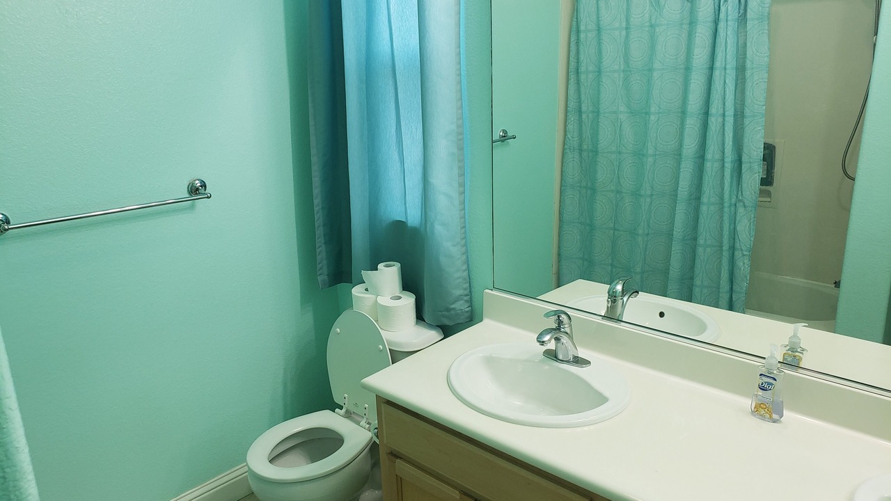 Photo of Bathroom in Tracy