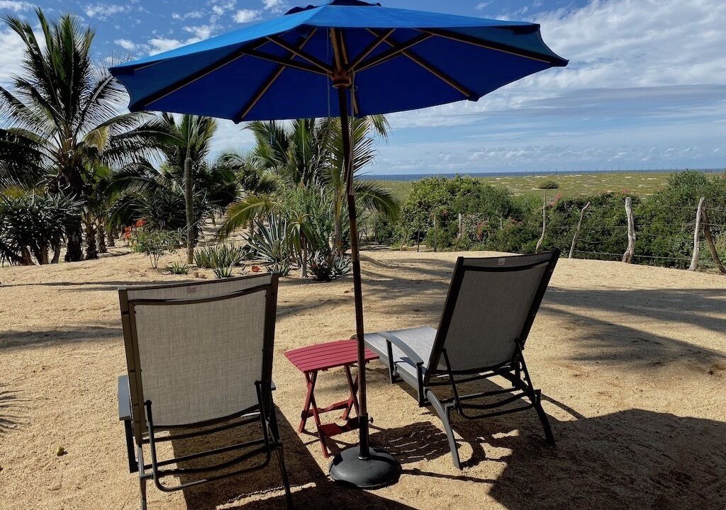 Photo of Outdoor in Todos Santos