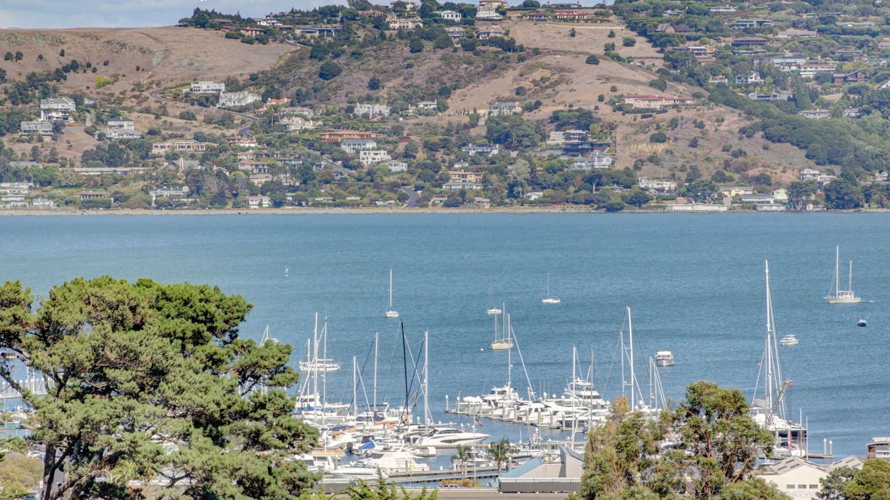 Photo of Others in Marin City