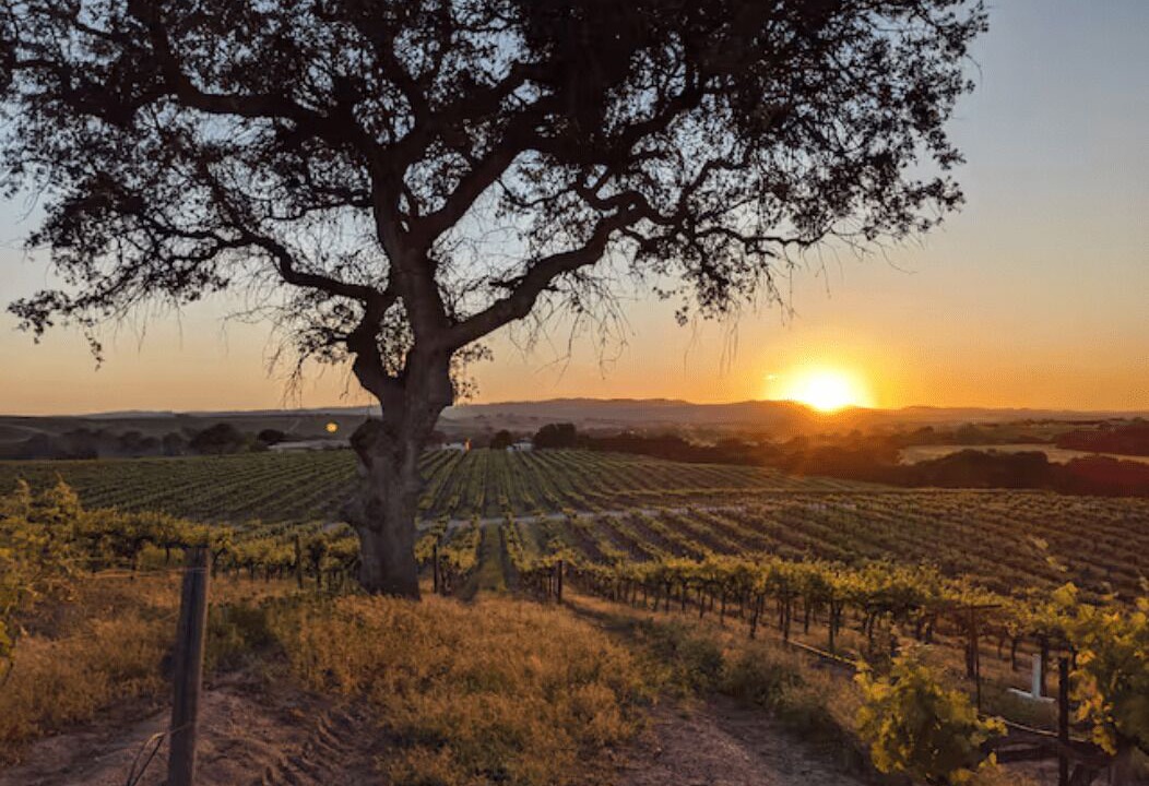 Photo of Outdoor in Paso Robles
