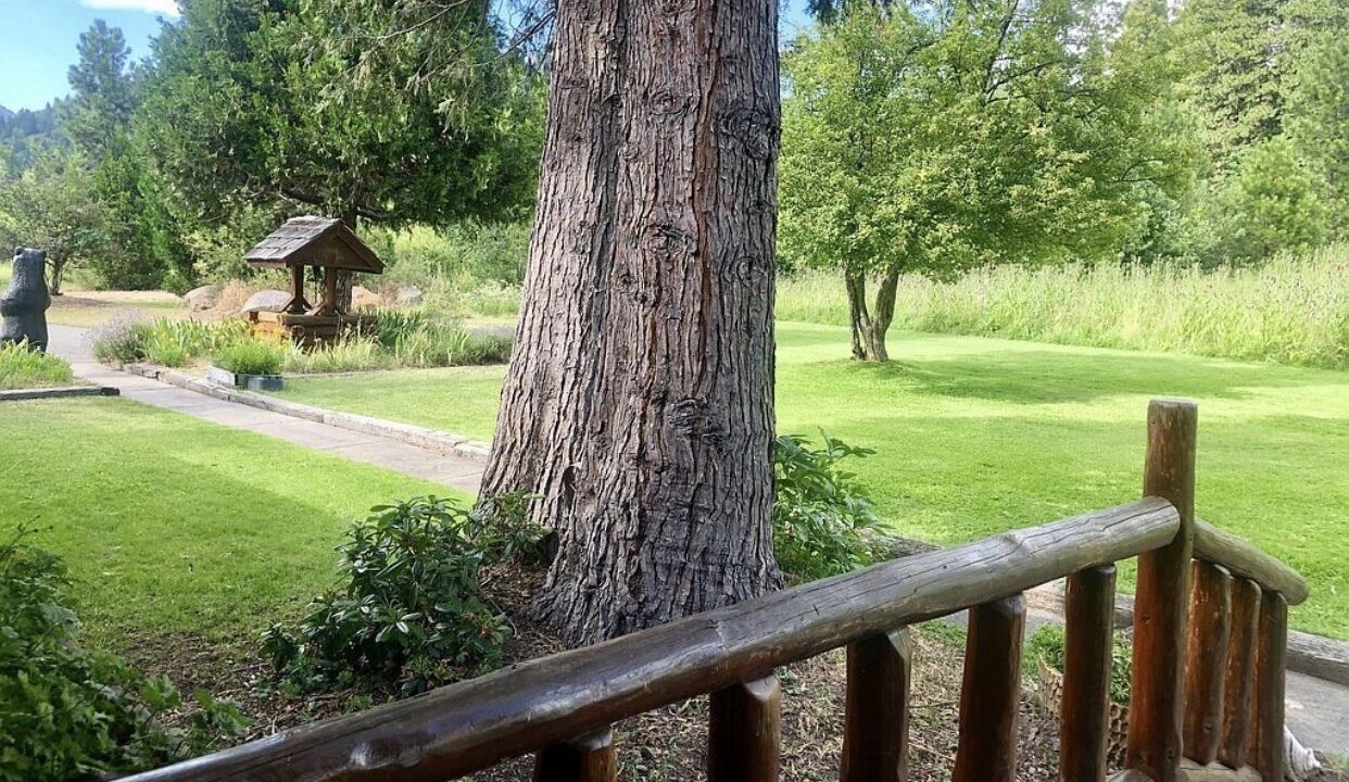 Photo of Outdoor in Mount Shasta