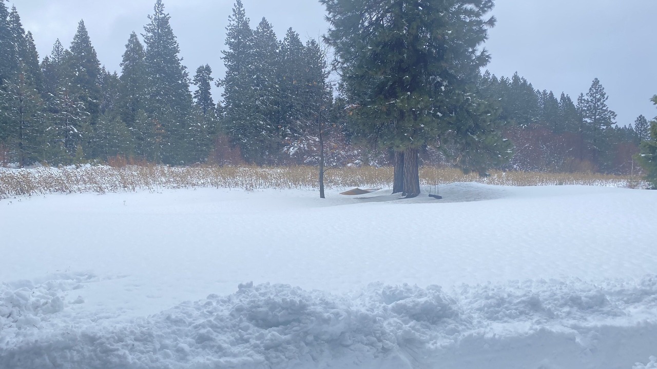 Photo of Others in Mount Shasta