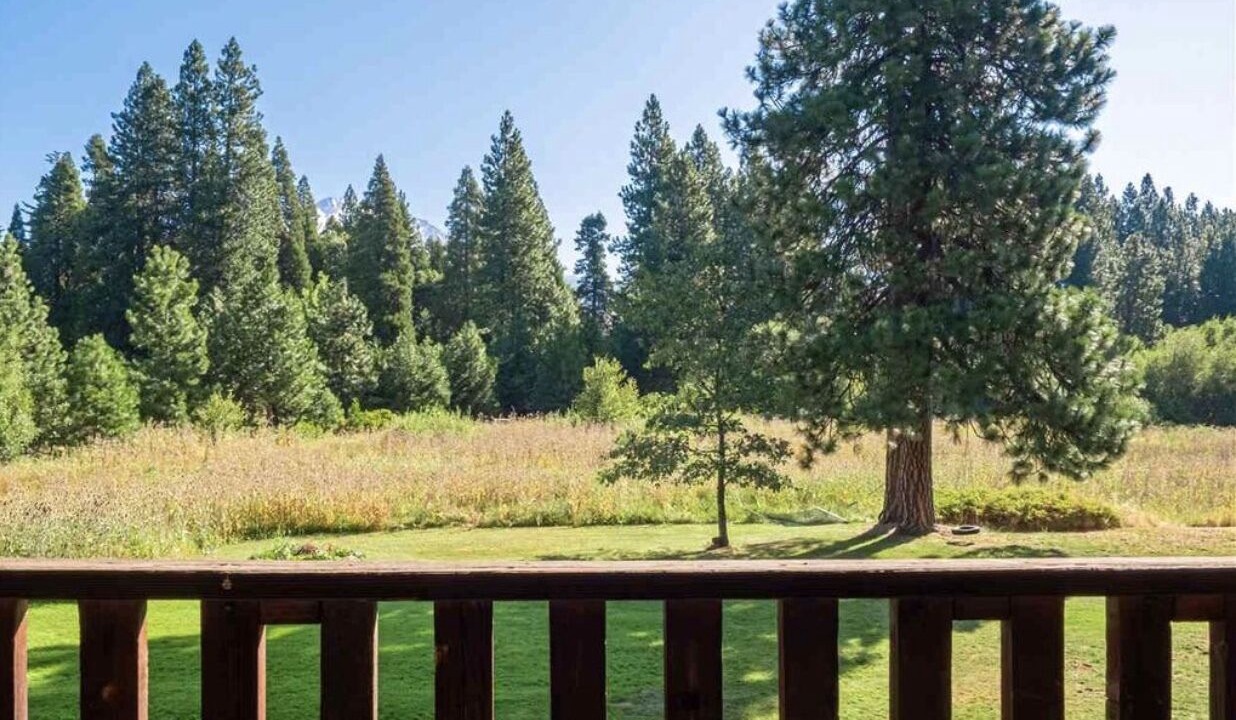 Photo of Outdoor in Mount Shasta