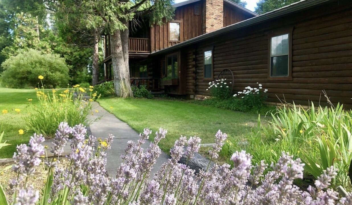 Photo of Outdoor in Mount Shasta