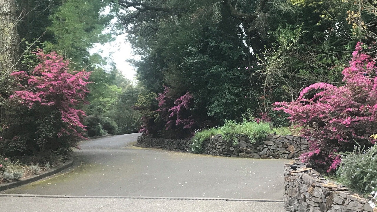 Photo of Outdoor in Scenic Brush Creek