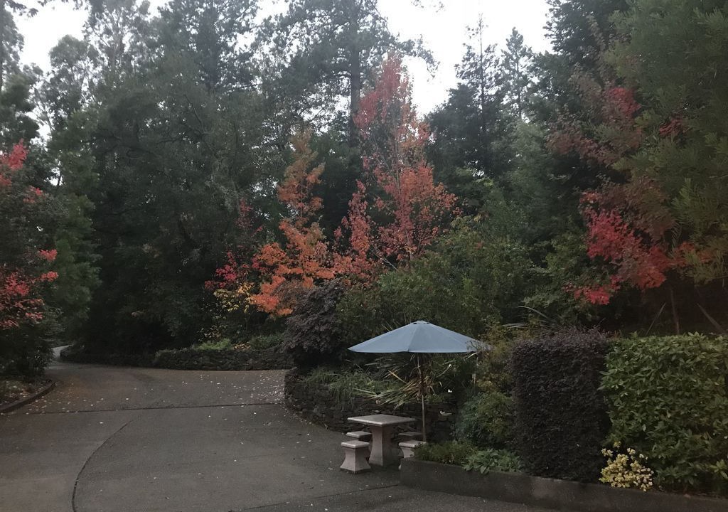 Photo of Outdoor in Scenic Brush Creek