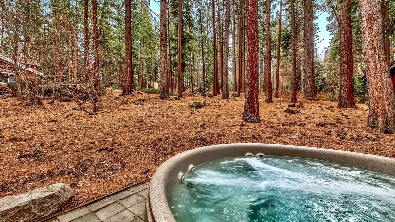 Photo of Outdoor in South Lake Tahoe