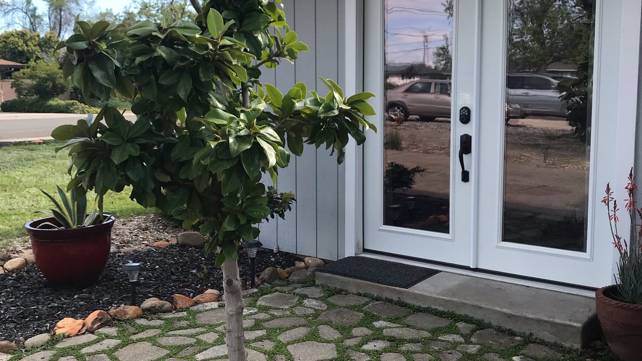 Photo of Outdoor in Redding