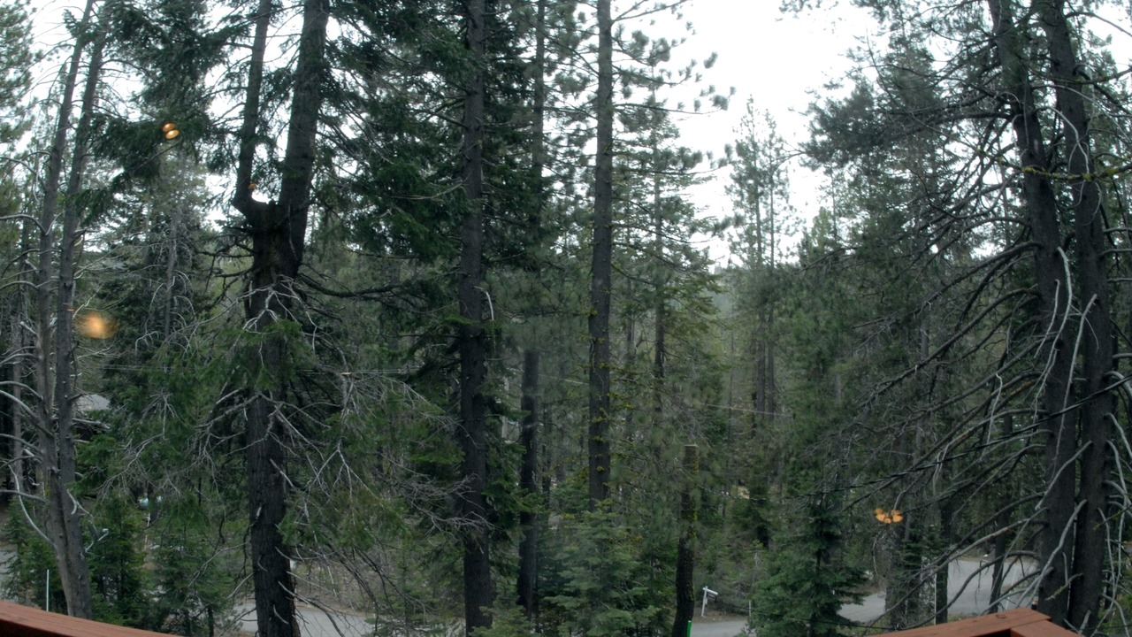 Photo of Others in Pla-Vada Woodlands