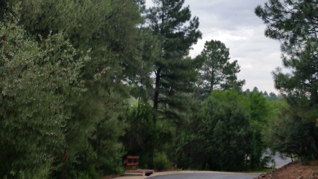 Photo of Others in Prescott