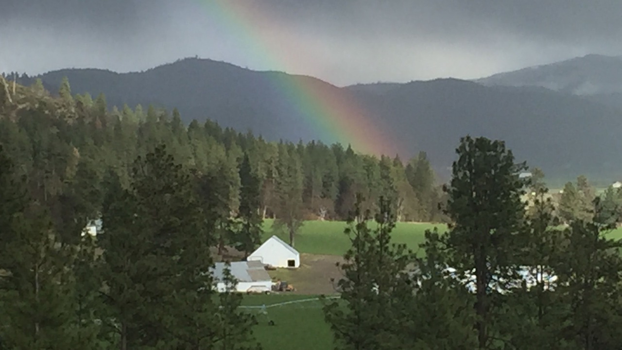 Photo of Outdoor in Fort Jones