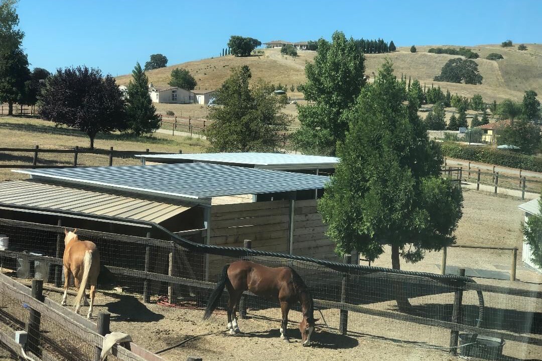 Photo of Others in Templeton