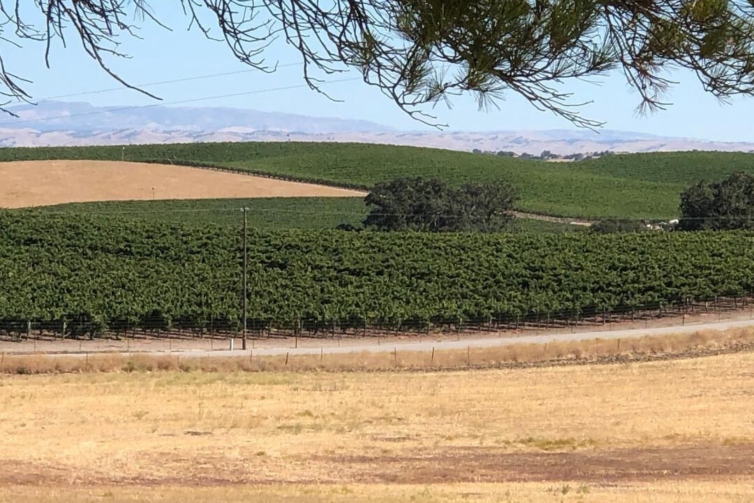 Photo of Outdoor in Templeton
