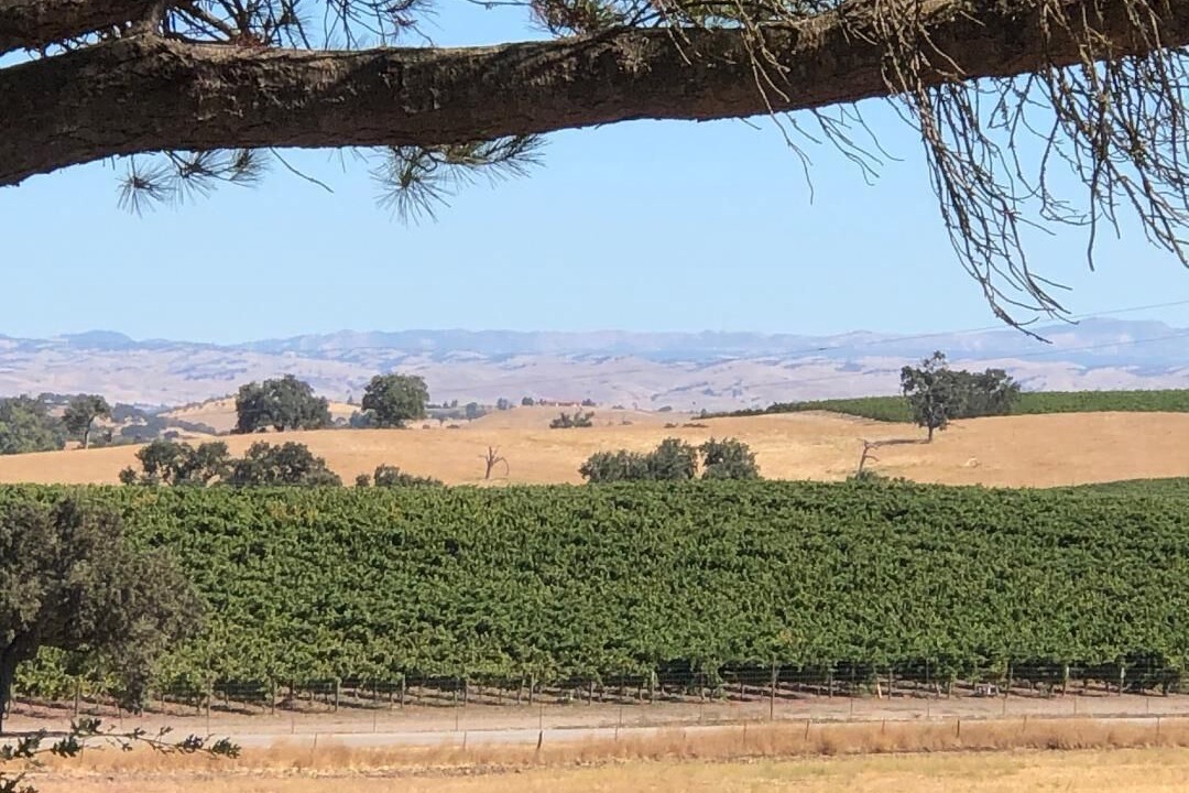 Photo of Outdoor in Templeton