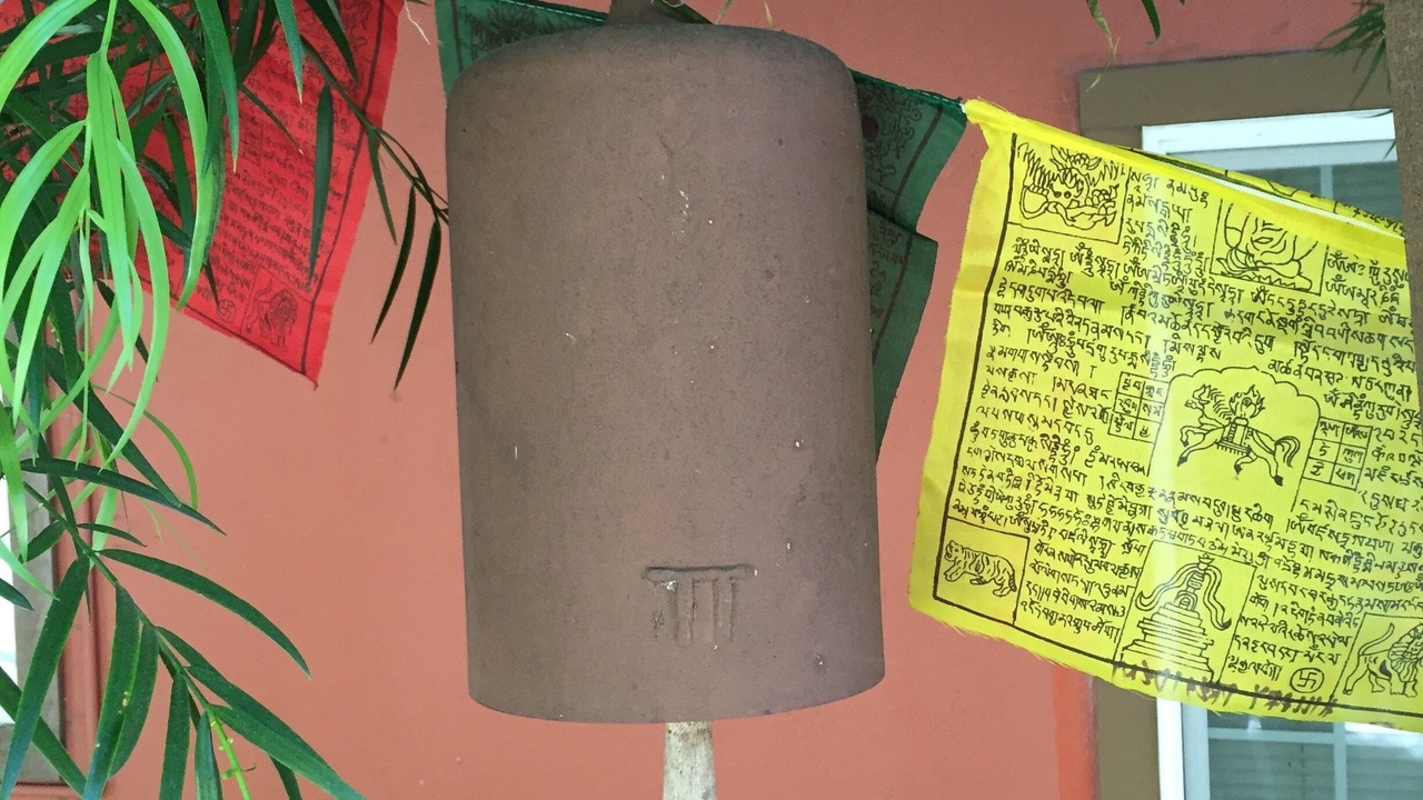 Photo of Outdoor in Upper Telegraph