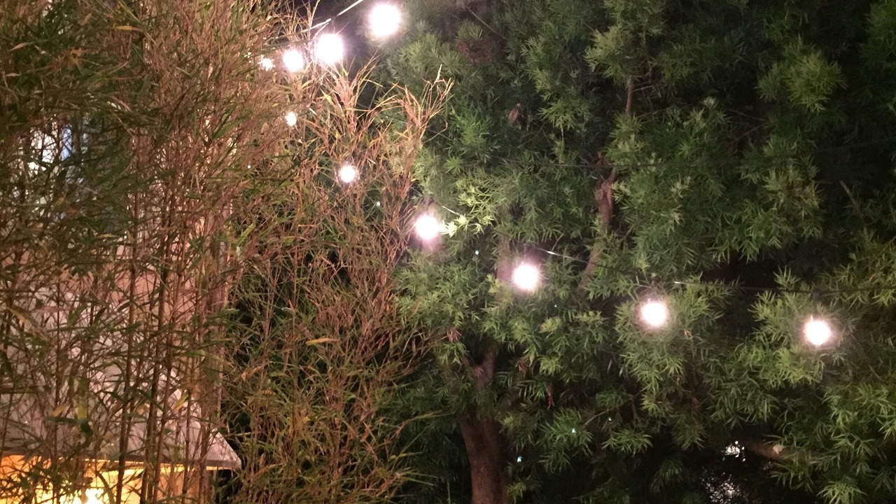 Photo of Outdoor in Upper Telegraph