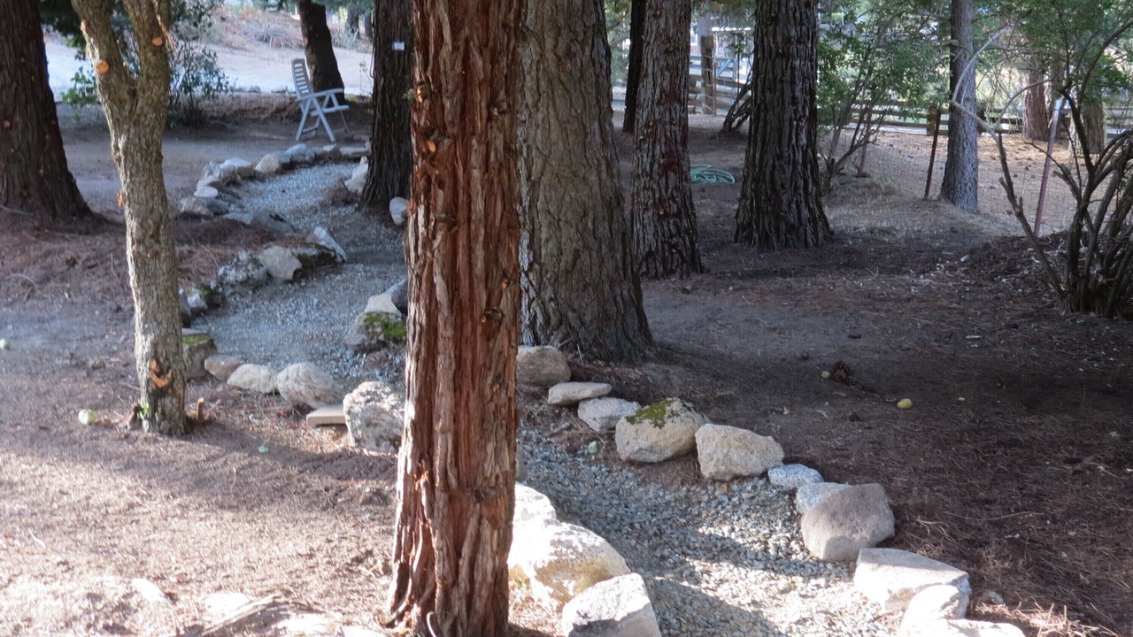 Photo of Others in California Hot Springs