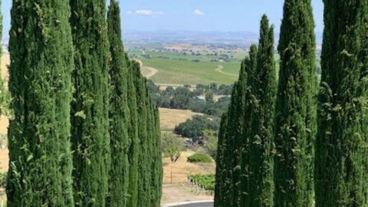Photo of Outdoor in Templeton
