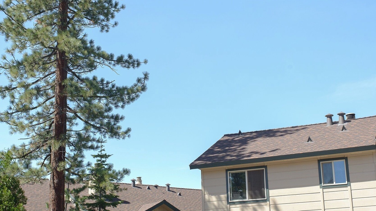 Photo of Outdoor in Lake Forest