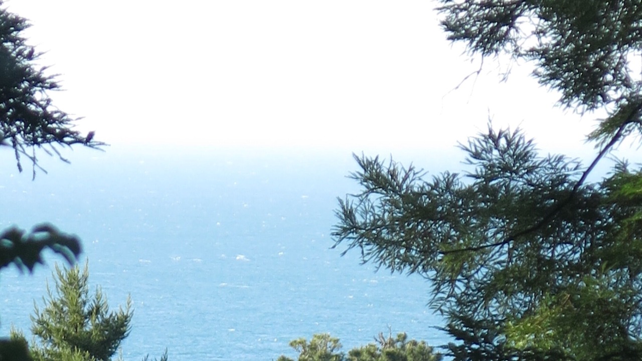 Photo of Outdoor in Anchor Bay