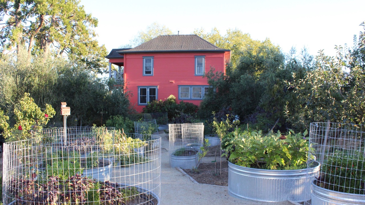 Photo of Outdoor in Graton