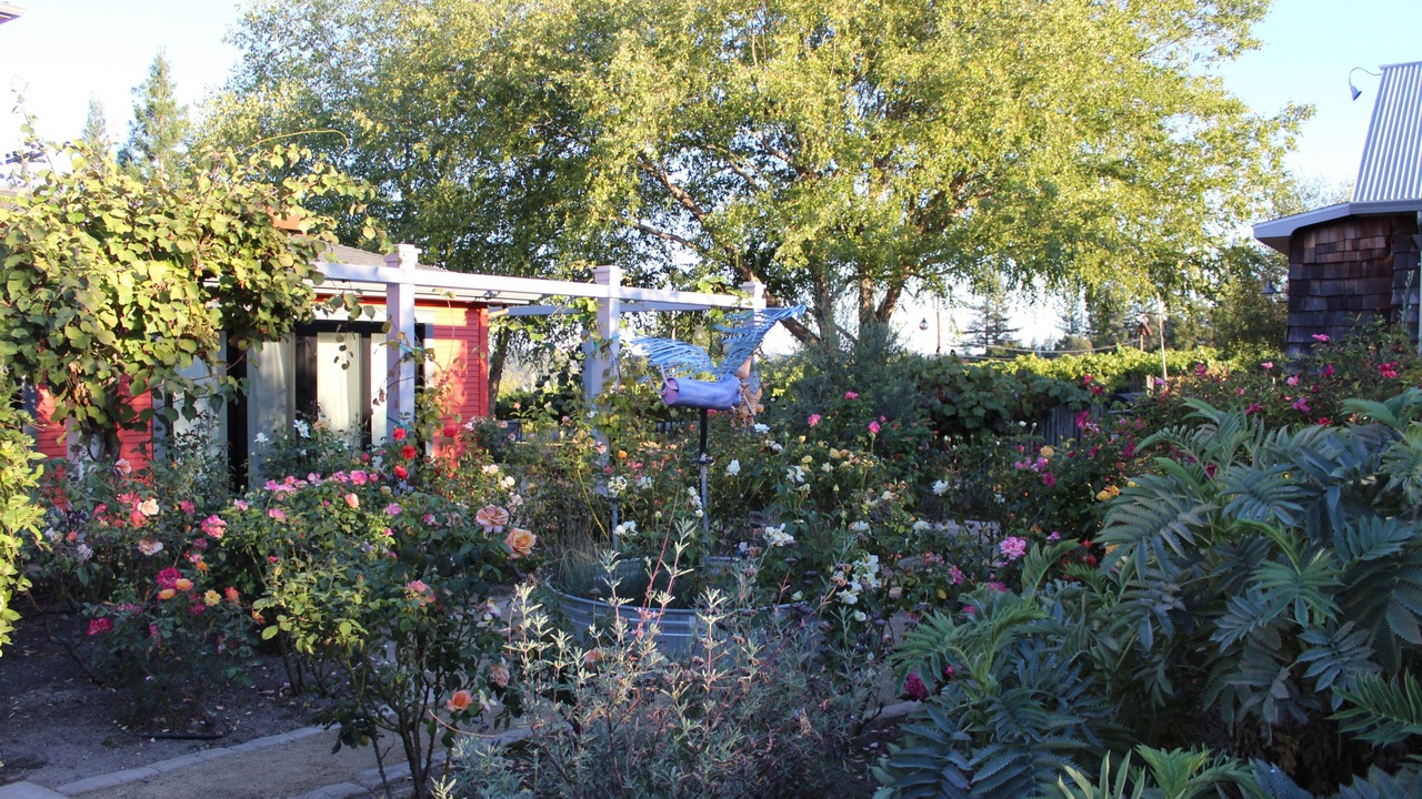 Photo of Outdoor in Graton