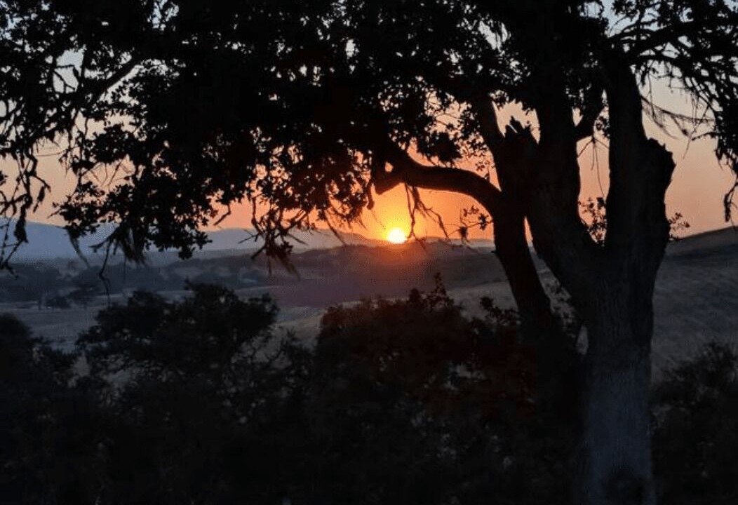 Photo of Outdoor in Paso Robles